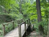 Trail 4 - Indiana Dunes State Park 