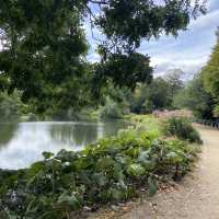 An oasis within the city centre,Ørstedsparken