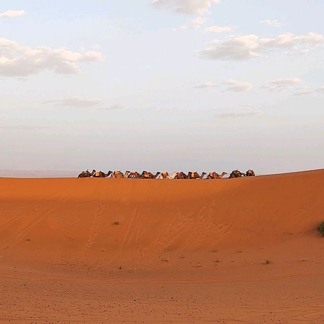 Morocco Sahara Desert Camel Ride