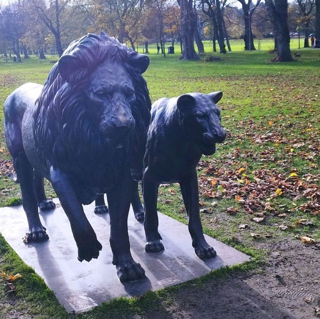 Born Free Forever - Pride of Lions Exhibit 