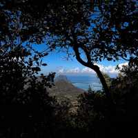 Hiking The Highest Peak | Mauritius 