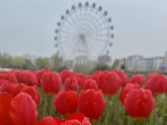 Mafan Agricultural Wonderland - Spring Time!