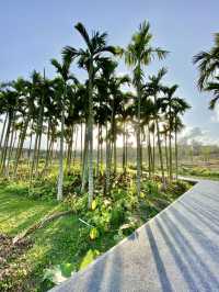Beautiful park in Haikou 