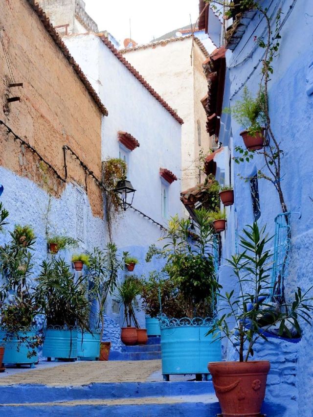 You can always trust the North African blue!!! Chefchaouen town.