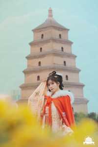 Does anyone still not know the best spot to capture the Big Wild Goose Pagoda in Xi'an?