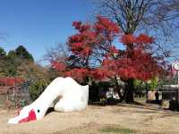 Japan Hokuriku Deep Tour - Searching for Doraemon's Hometown in Takayama City