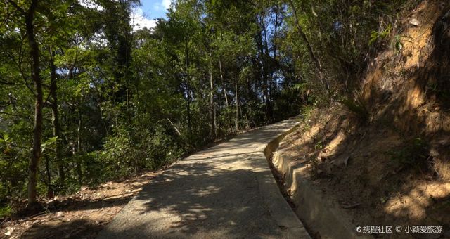 Quarry Bay beginner hiking route | Admire the clock flowers and search for strange rocks.