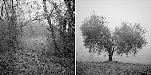 Artist Talk: Gerard Franciosa at Foley Gallery, New York (New York) | Foley Gallery