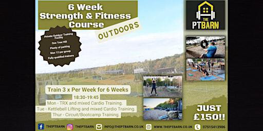 6 Week Intensive Fitness/Strength Training - One Tree Hill | The P.T Barn
