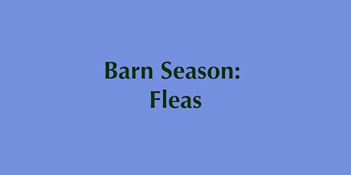 Barn Season: Fleas | Rose Bruford College