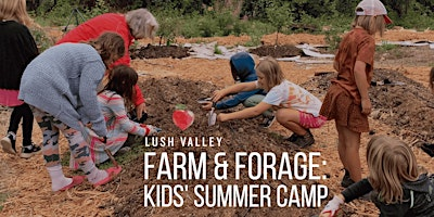 Farm & Forage Summer Camp: Session 2 (full-day) | 4795 Headquarters Rd