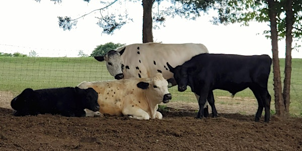 Butterfly Field Farm Sanctuary Tour Experience | Butterfly Field Farm