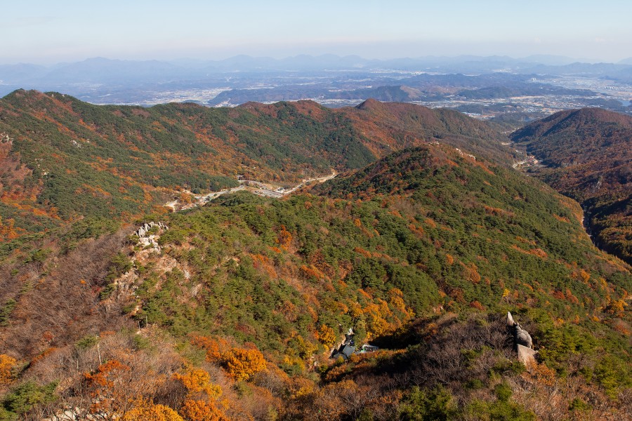 【2025韓國楓葉季】大邱人氣賞楓景點推介：八公山、桐華寺、大邱樹木園、河中島、前山觀景台 | 大邱