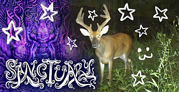 SANCTUARY - HARD TECHNO FOR FOREST CREATURES | The Tram Depot