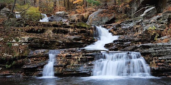 Understanding Exposure (ISO, Shutter and Aperture) | The Camera Company