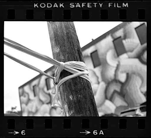 Film 101 | 1630 E 7th Ave