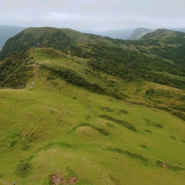 新北 | 桃源谷大草原，360度山海美景輕鬆入手