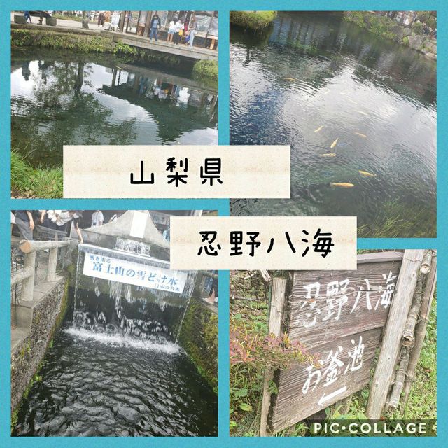 【山梨県】忍野八海