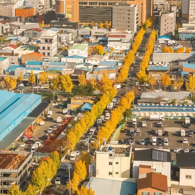 울산의 랜드마크 '울산 그랜드 휠' 관람차