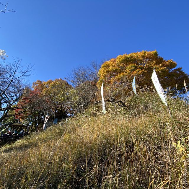 紅葉の景信山