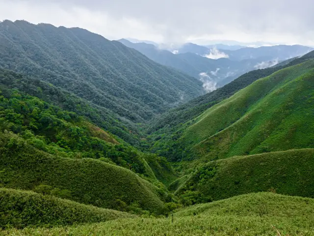 礁溪｜抹茶山 聖母登山步道 朝聖之旅 