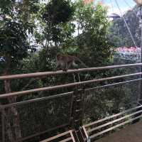Longest Sky Bridge in Malaysia