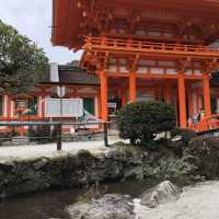 上賀茂神社⁉️