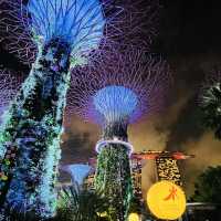 Christmas Wonderland at Garden by the Bay