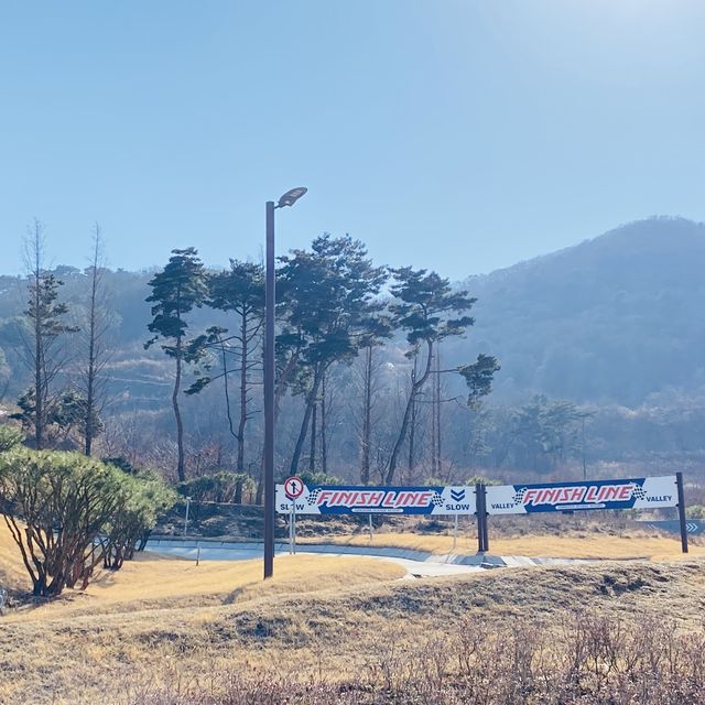 어른아이 모두타기 좋은 액티비티, 루지🚘