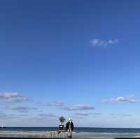 제주 힐링 바다 🌊 세화해변 [제주에 오길 참 잘했다]