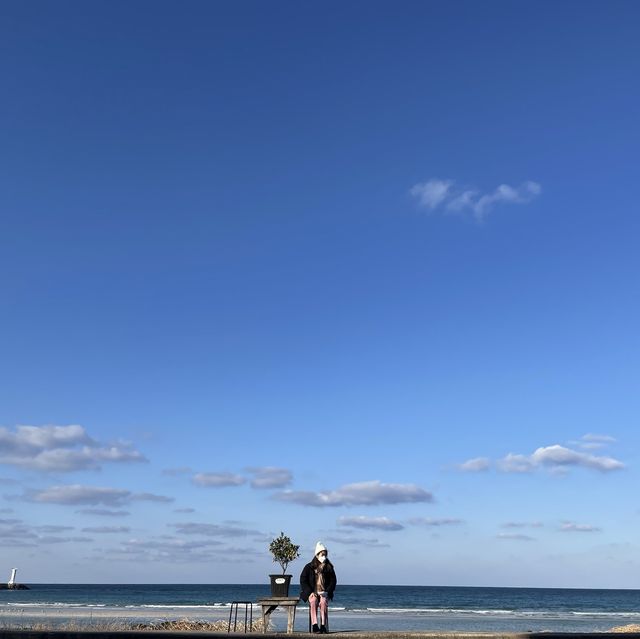 제주 힐링 바다 🌊 세화해변 [제주에 오길 참 잘했다]