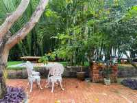 RiverBreeze Cafe : Cafe|Bar|Rive