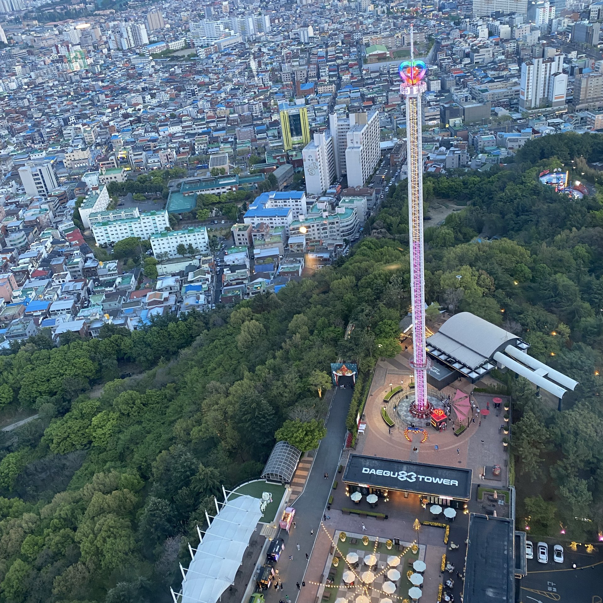 Daegu