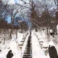 超唯美雪景雪景｜藏王溫泉街