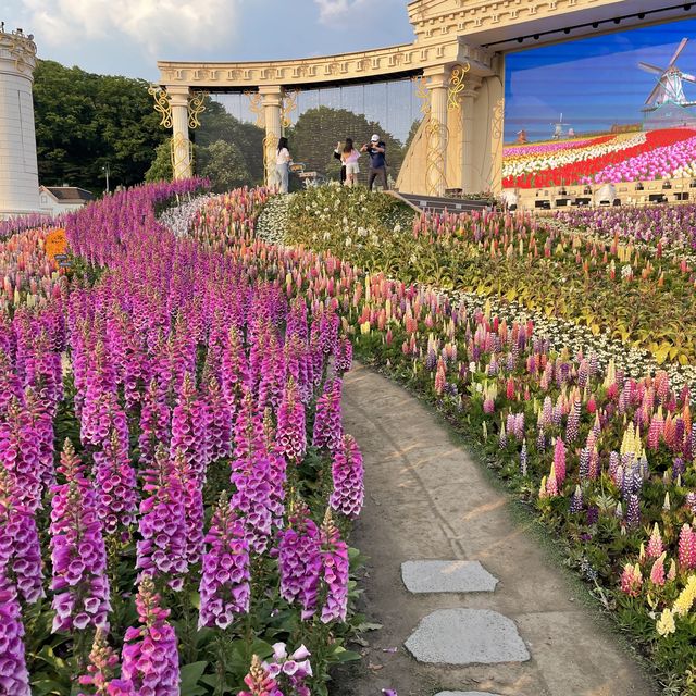 용인 에버랜드, 국내 꽃구경 탑 오브 탑!