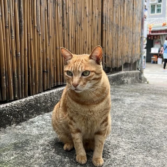 大澳打卡一日遊