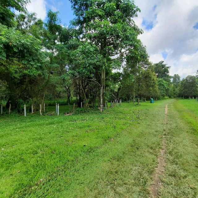 An EcoPark in Tampines 