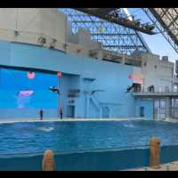 【横浜・八景島シーパラダイス】神奈川県横浜市