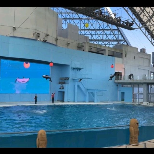 【横浜・八景島シーパラダイス】神奈川県横浜市