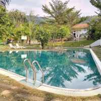 Danau Daun Chalets 