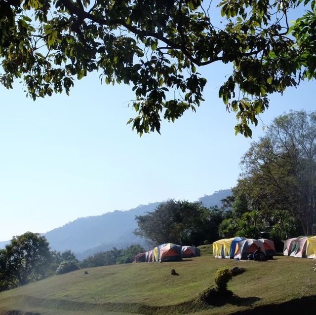 ดอยผาชู้  จ. น่าน 🌳⛰️