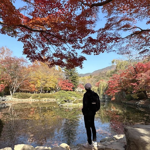 Gyeongju , is a must place to enjoy autumn 🍂