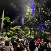 Visit Jewel for Snow, light snow, tree etc 
