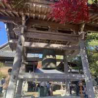 紅葉季看最美犬山市寂光院