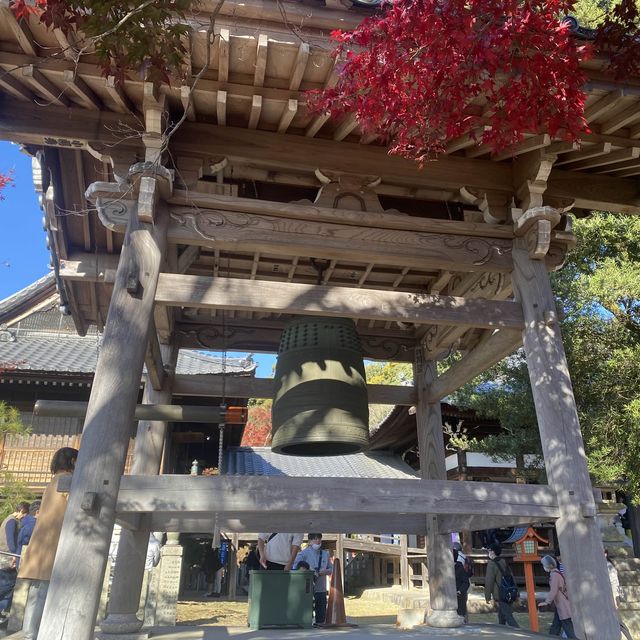 紅葉季看最美犬山市寂光院