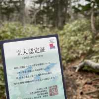 【知床山地】知床の緑の中でリフレッシュ☀