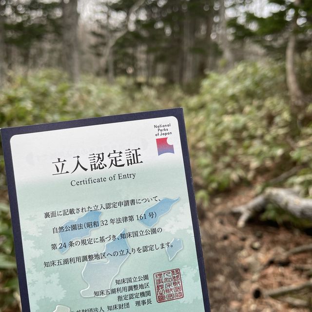 【知床山地】知床の緑の中でリフレッシュ☀