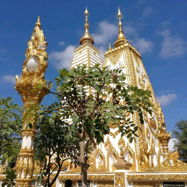 พระธาตุ​องค์สีขาว​ วัดพระธาตุหนองบัว