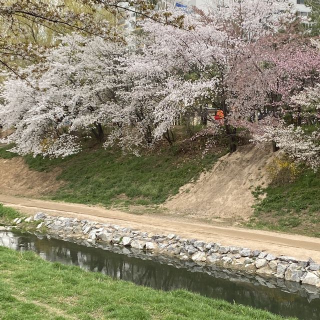 도시속에서 자연을 느낄 수 있는, 굴포천