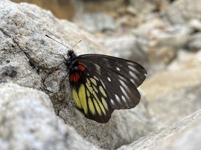 前往出發荔枝莊,享受寧靜香港另一面 前往出發荔枝莊,享受寧靜香港另一面